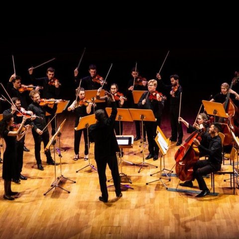 Concert : Le Young Belgian Strings & l'Académie de Welkenraedt