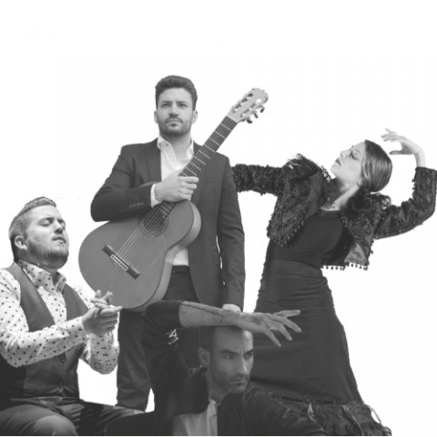 « El Carru, quartet flamenco »