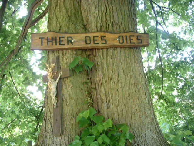 Le vendredi du Fenil : « Au fil de la Bèfve, du Thier au bois »