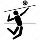 matchdevolleyball_volley.png